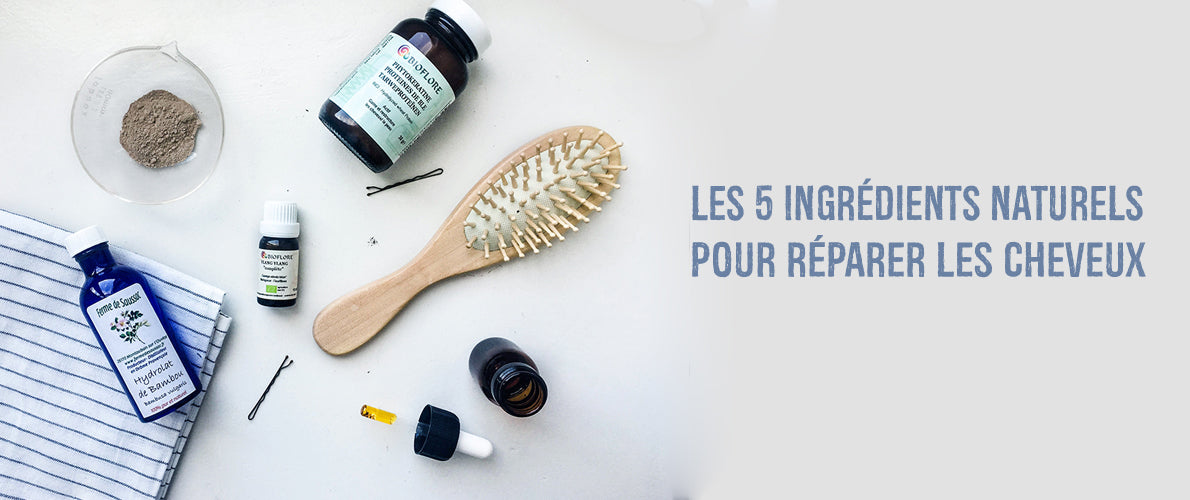 Visuel blog 5 ingrédients naturels pour réparer les cheveux DIY