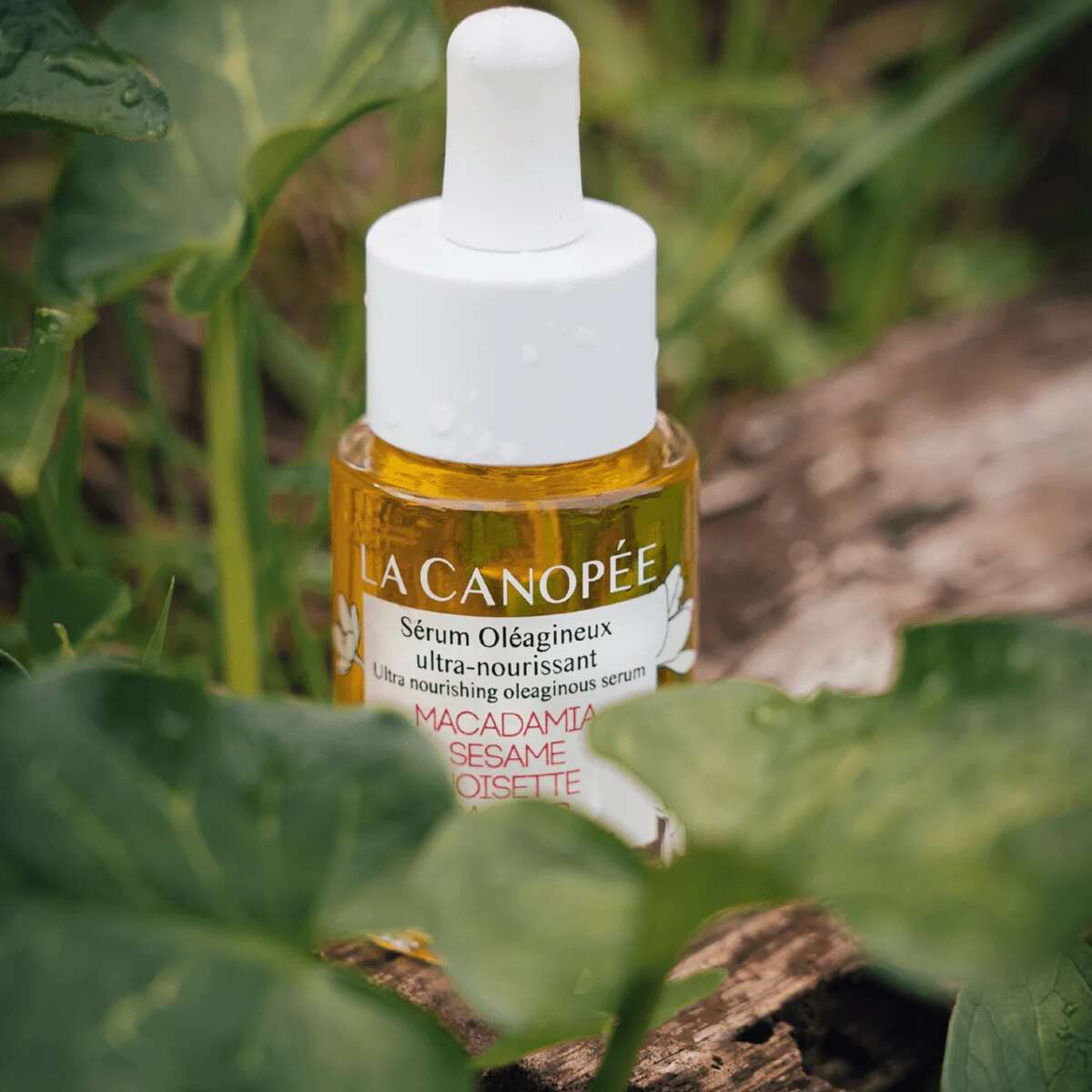 Sérum Oléagineux La Canopée posé sur un tronc au milieu des feuilles, concentré d'huiles végétales vierges