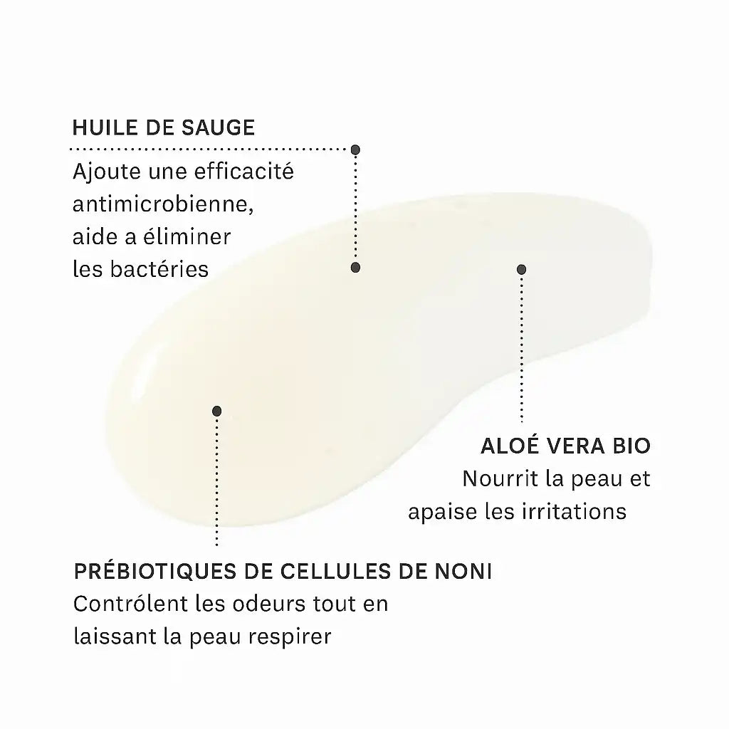 ingrédients et leurs propriétés du déodorant à bille pure prebiotic roll-on Evolve