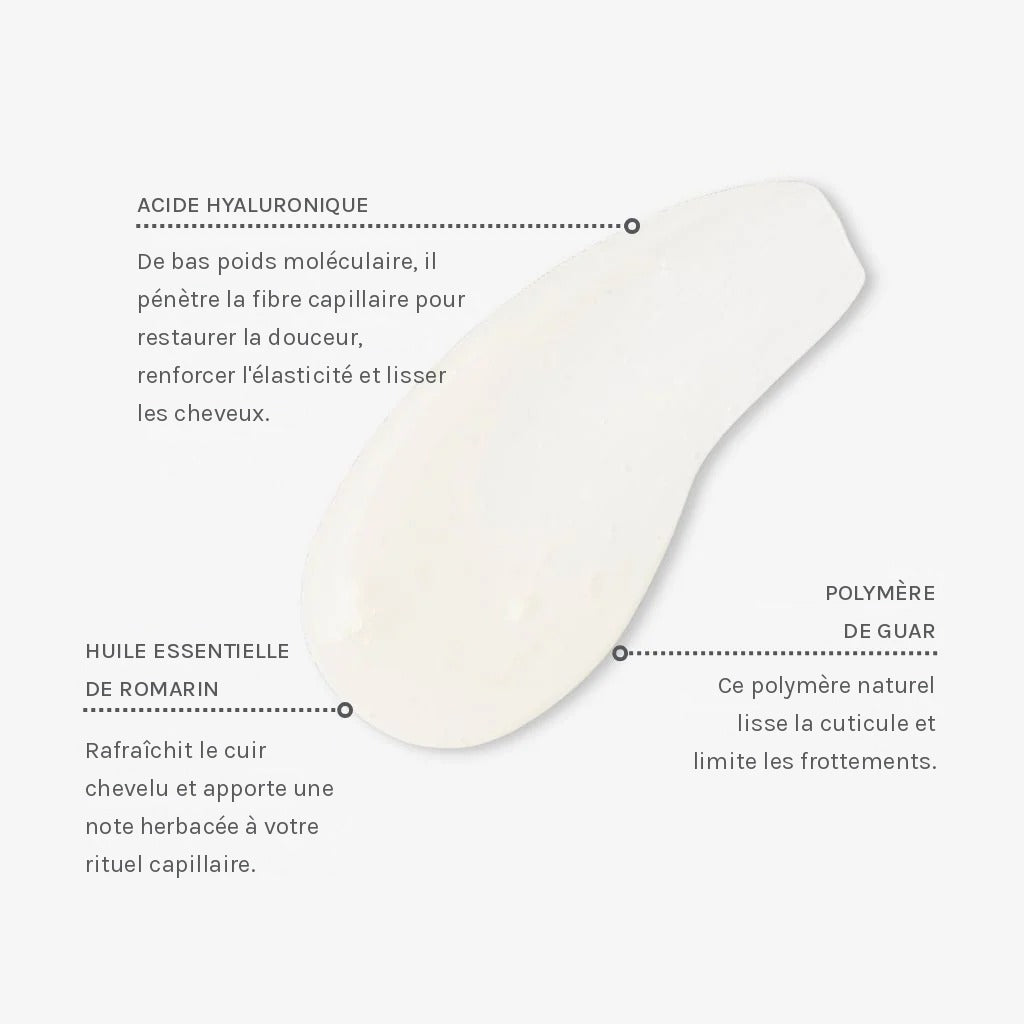 Actifs du shampoing hydratant Evolve Beauty : Acide Hyaluronique, Guar et huile essentielle de Romarin