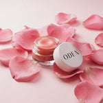 Baume à lèvres teinté Rose de France Oden, pot en verre ouvert entouré de pétales de rose