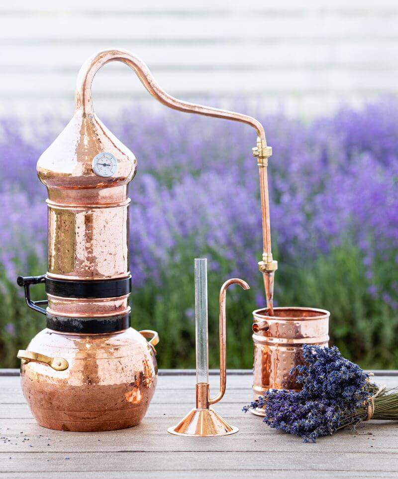 alambic de distillation de fleurs de lavande