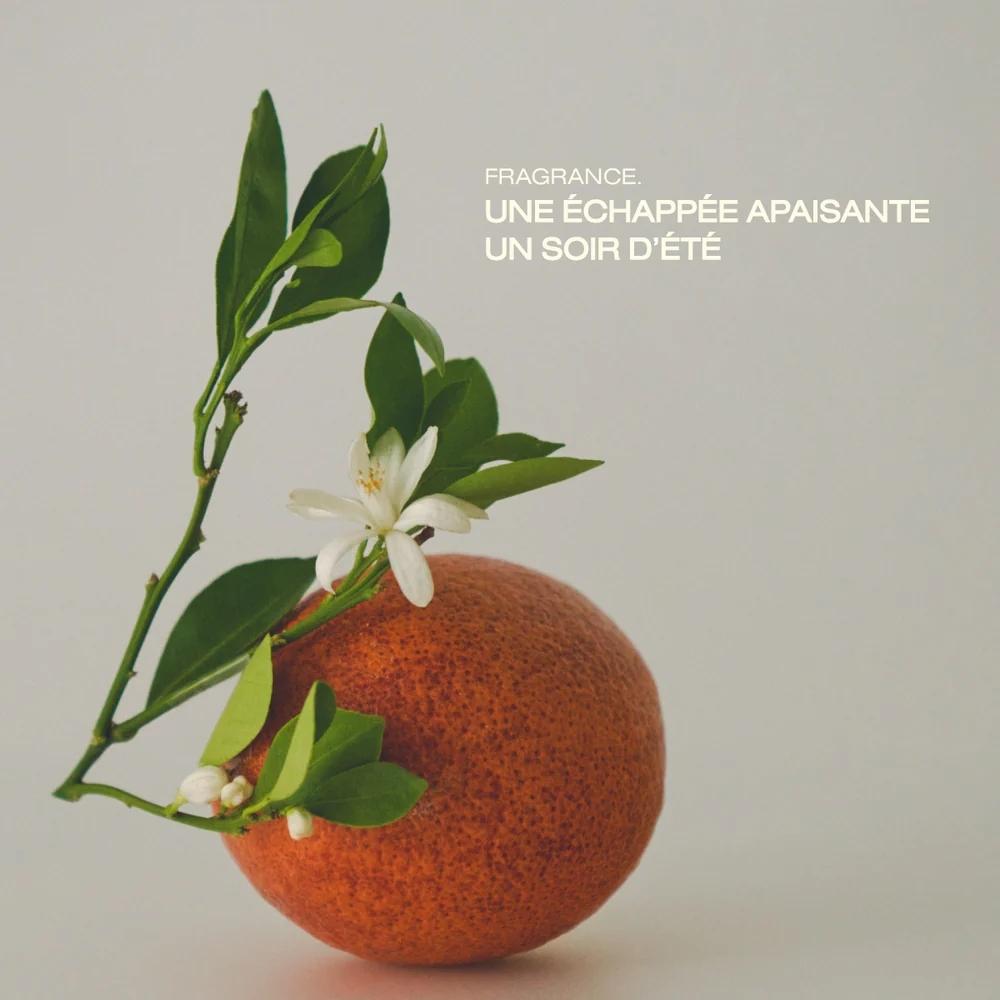 Fragrance du savon crémeux Le Sud La Nuit