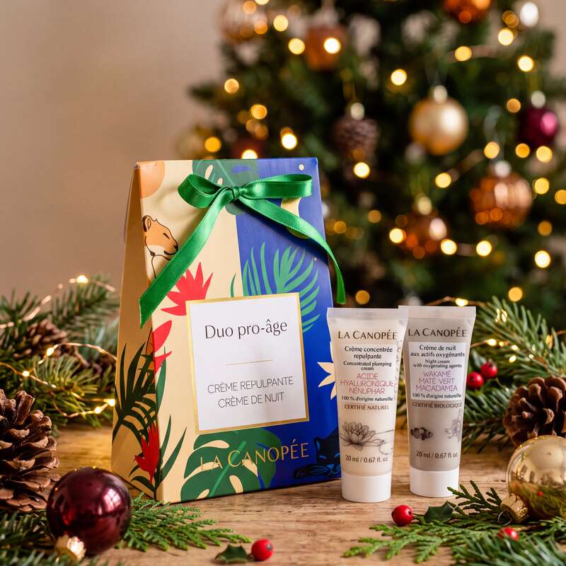 Coffret de Noël Duo pro-âge La Canopée au pied du sapin, entre branches de pin et boules de Noël