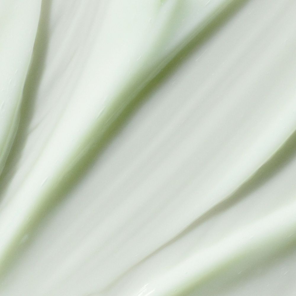 Texture de la Crème de Jour Deep Moisture Madára