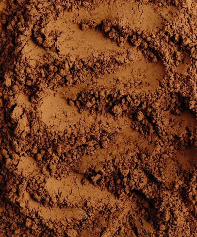 poudre de shikakai