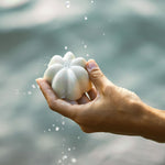 Au parfum floral, il convient à tous les types de cheveux