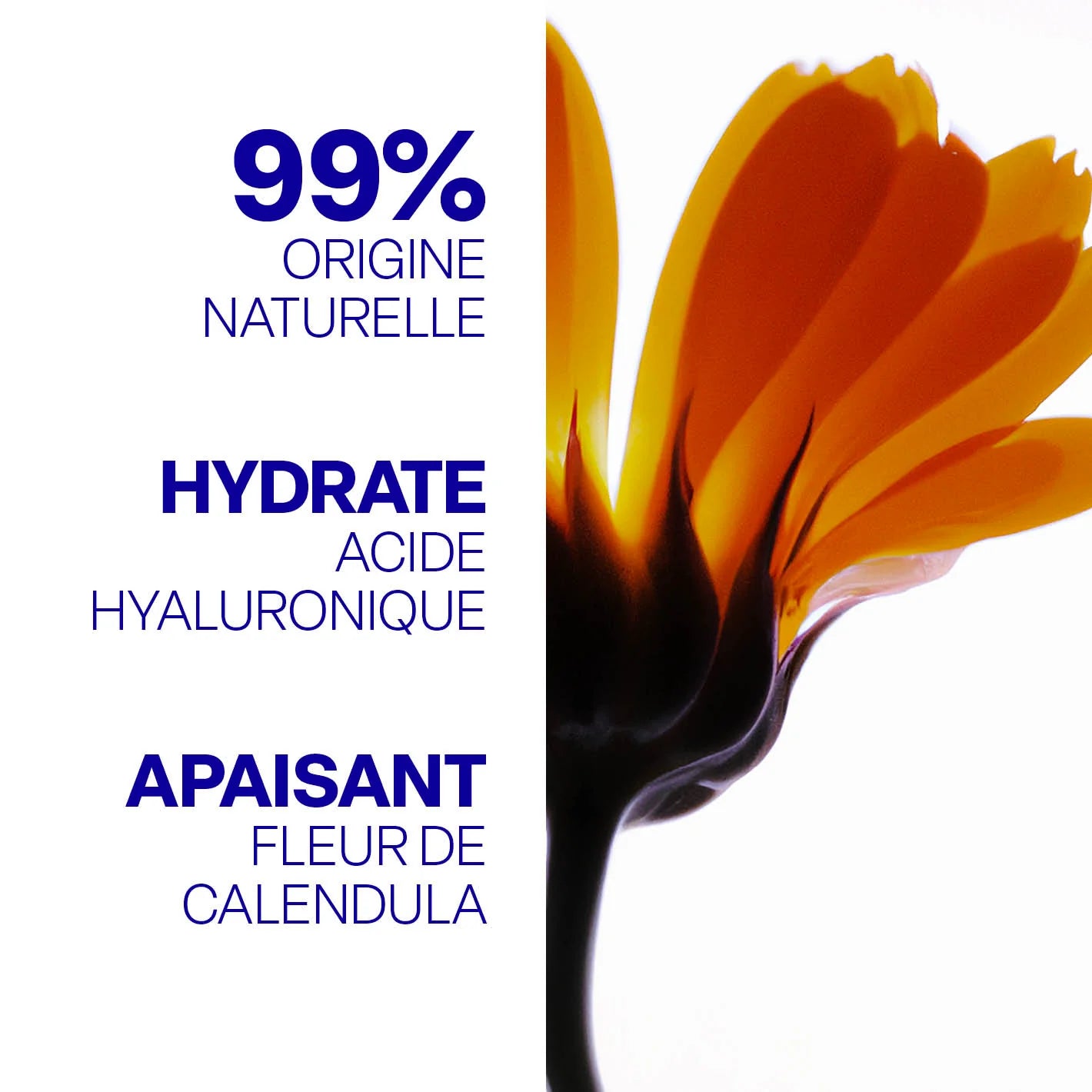 Effets du fard à paupière liquide la Crique cosmétique
