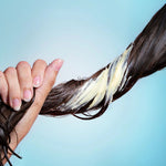 Application sur cheveux du Vegan Repair Mask de Cut by Fred